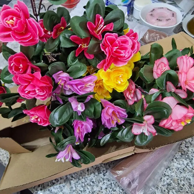 Соларни светещи цветя | ROSILUME