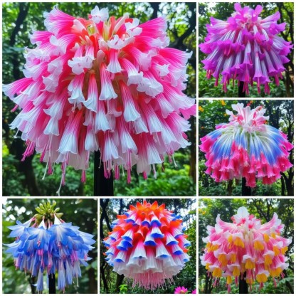 🌸Hanging Lobelia Seeds – Easy to Grow ✅ |  Long-Lasting Blooms 🌼 | 🏡 Compact & Versatile