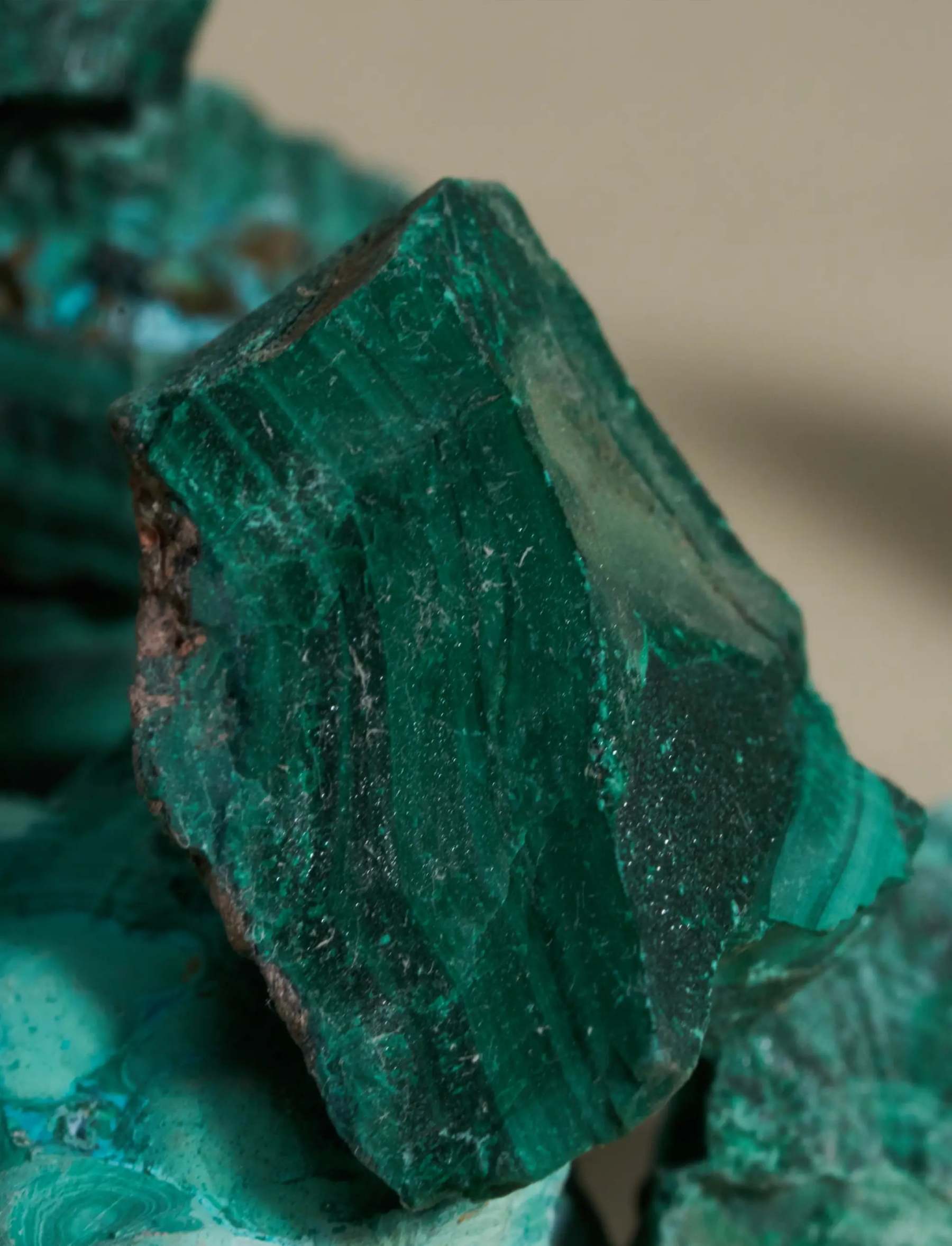 Чаша за лалета