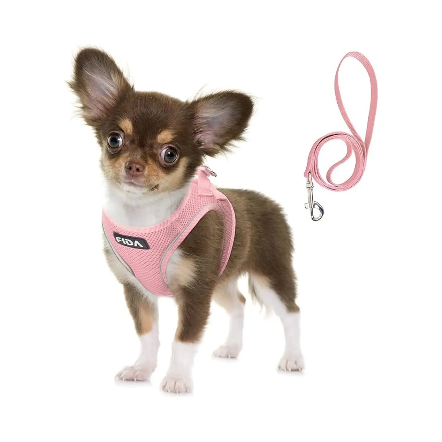 FIDA Kitten & Puppy Harness and Leash Set