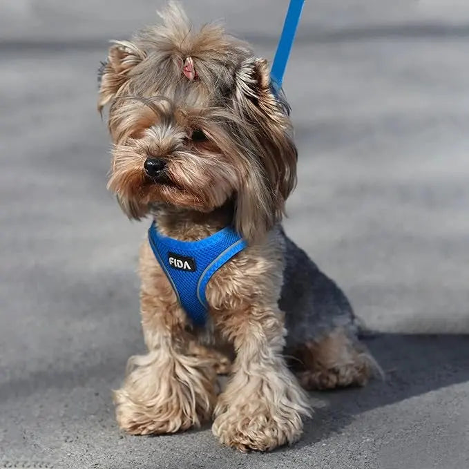 FIDA Kitten & Puppy Harness and Leash Set