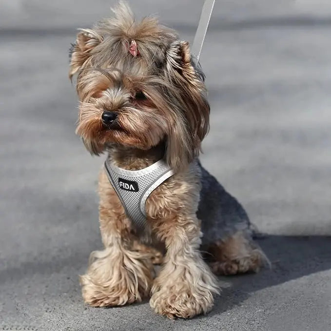FIDA Kitten & Puppy Harness and Leash Set
