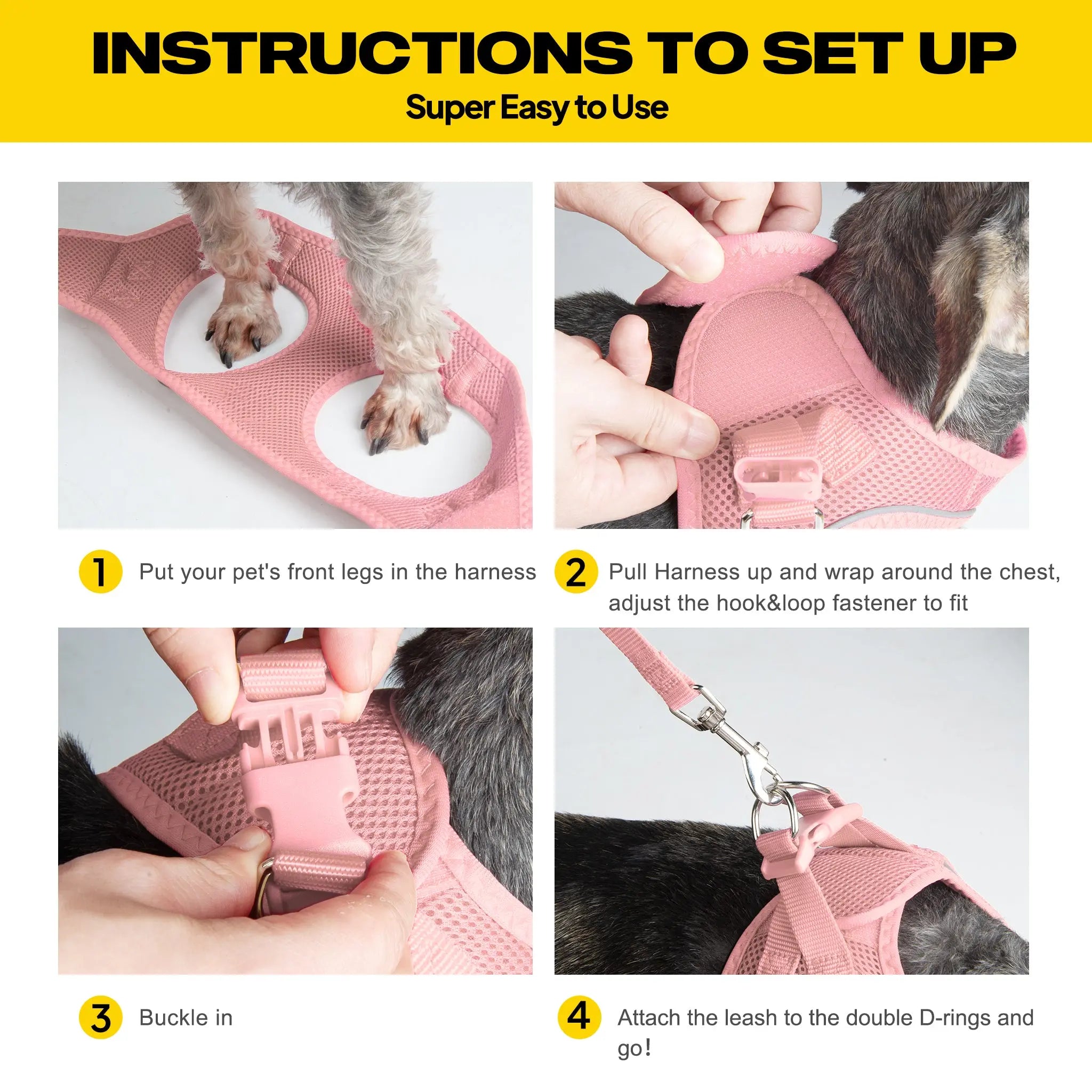 FIDA Kitten & Puppy Harness and Leash Set