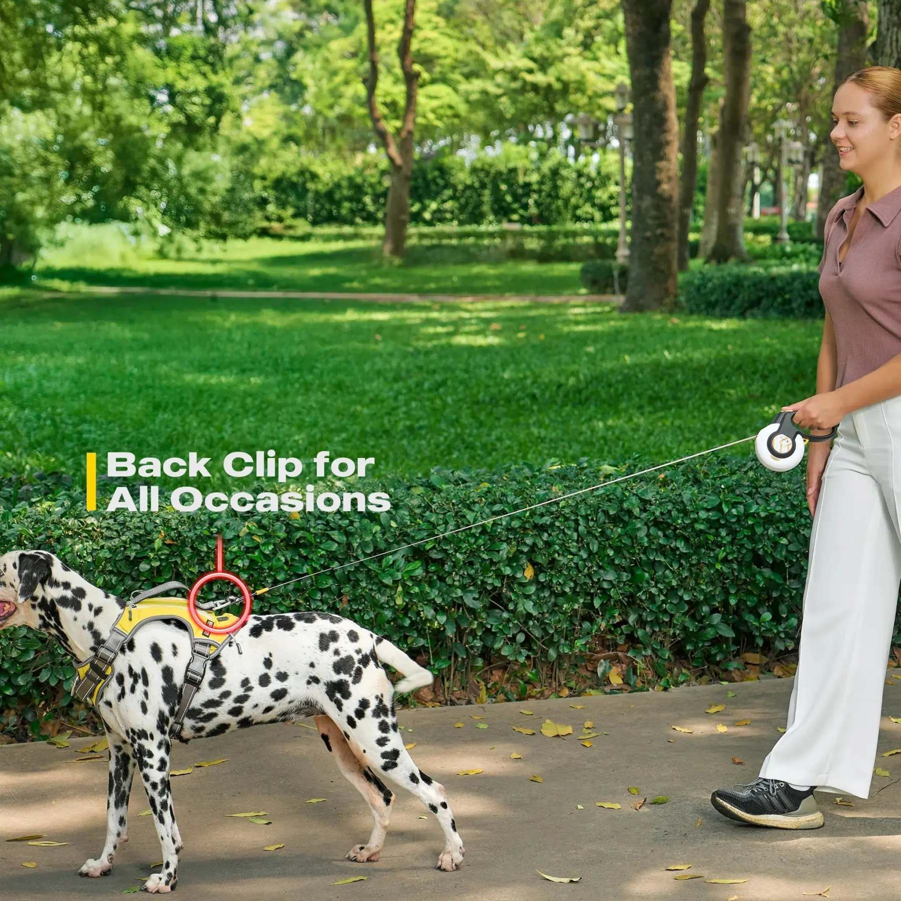 FIDA No Pull Harness