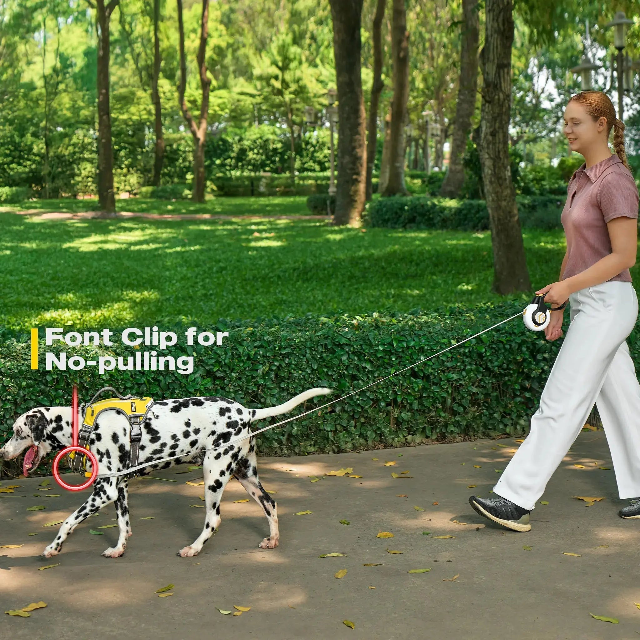 FIDA No Pull Harness