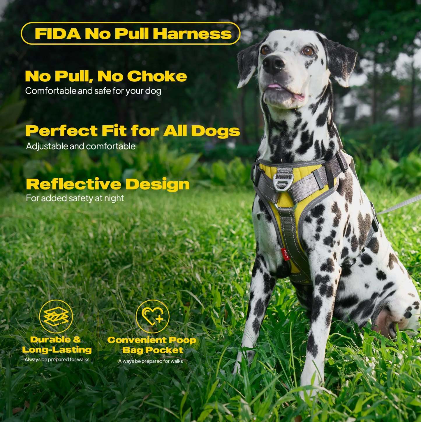 FIDA No Pull Harness