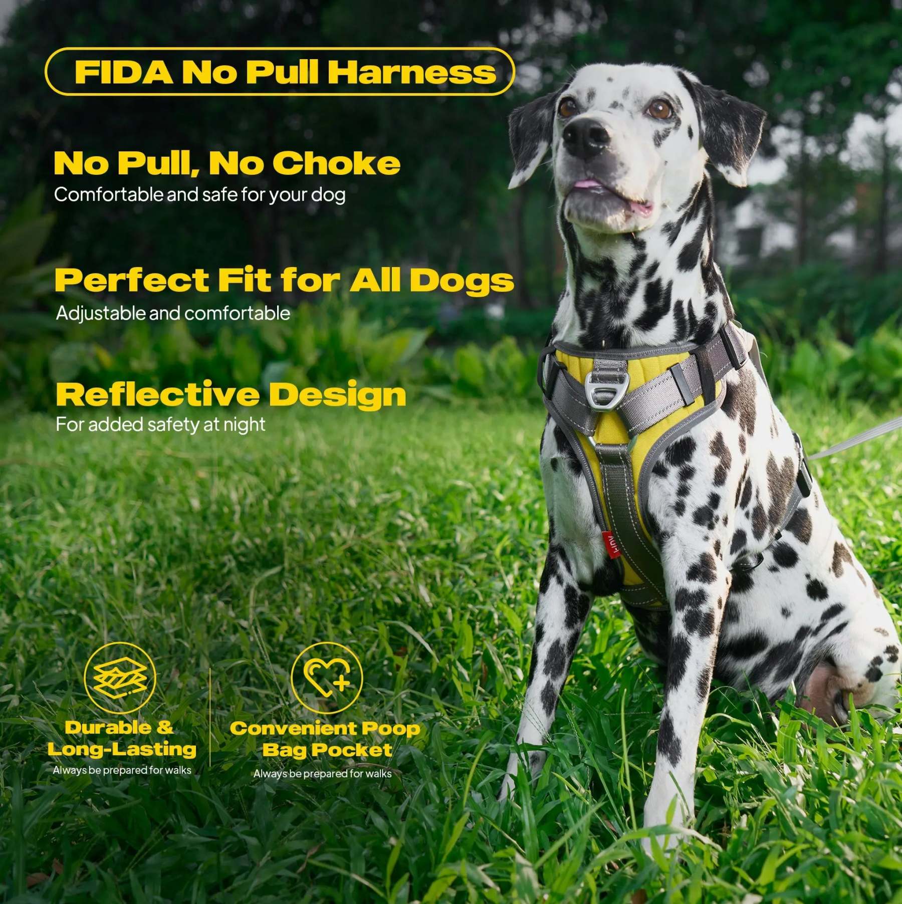 FIDA No Pull Harness