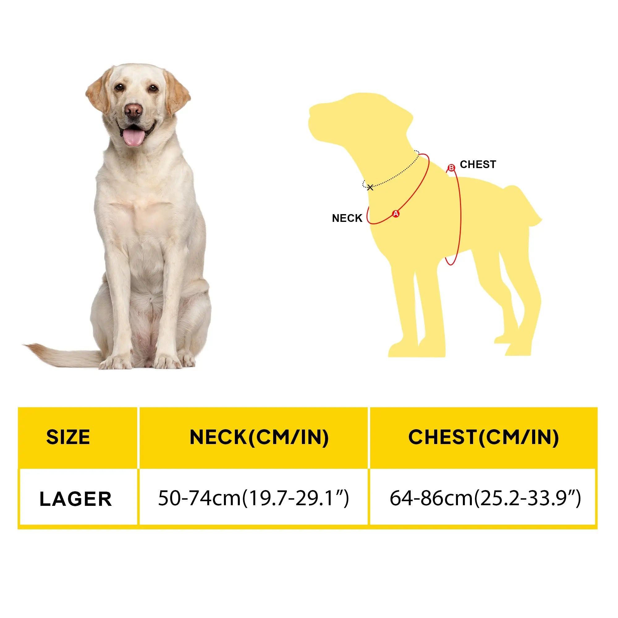 FIDA No Pull Harness