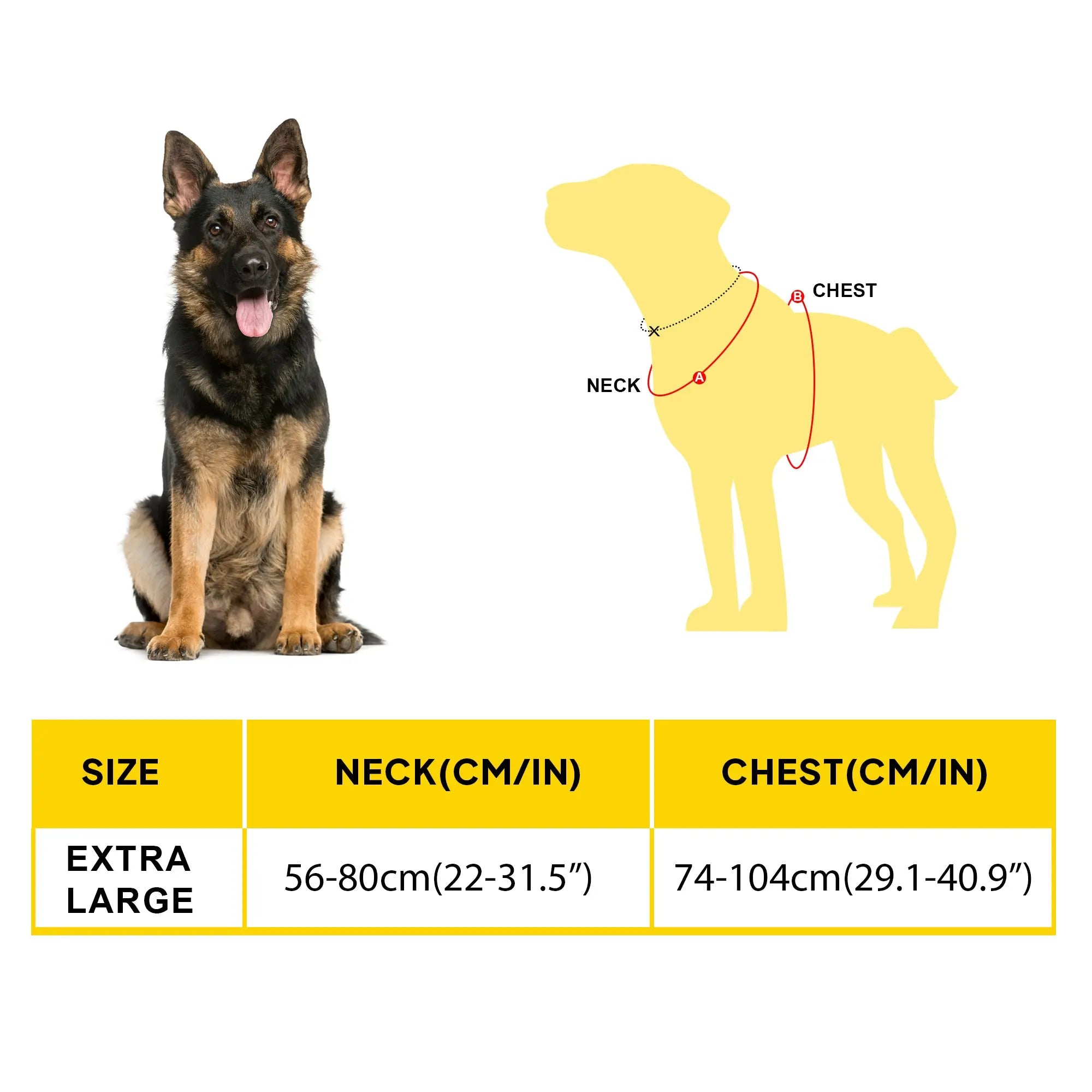 FIDA No Pull Harness