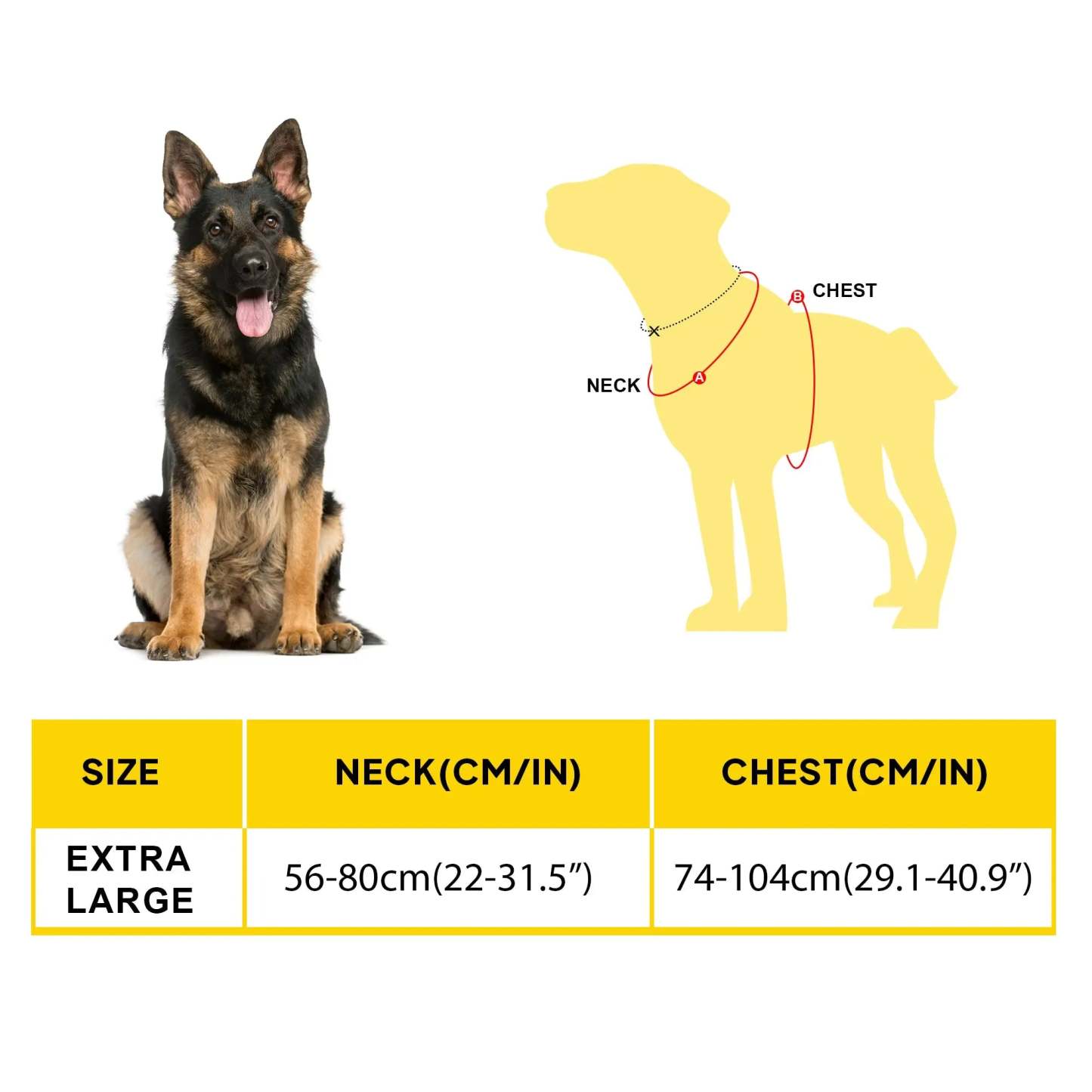 FIDA No Pull Harness