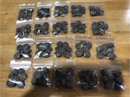 Gac fruit seeds, Gac Melon Vine Momordica Cochinchinensis seeds