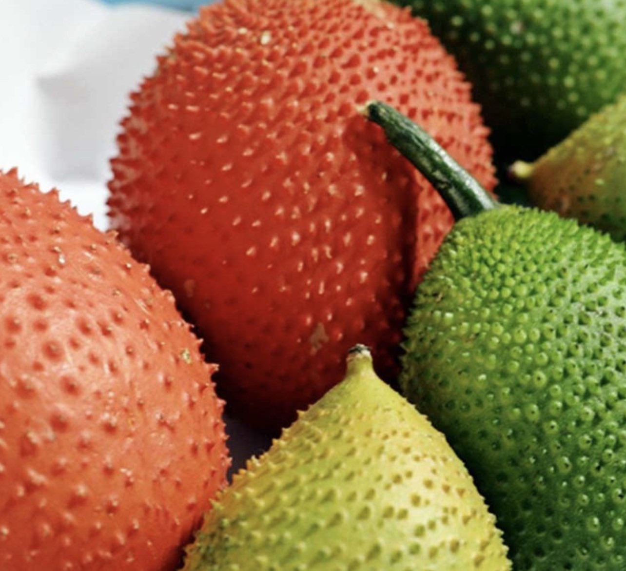 Gac fruit seeds, Gac Melon Vine Momordica Cochinchinensis seeds