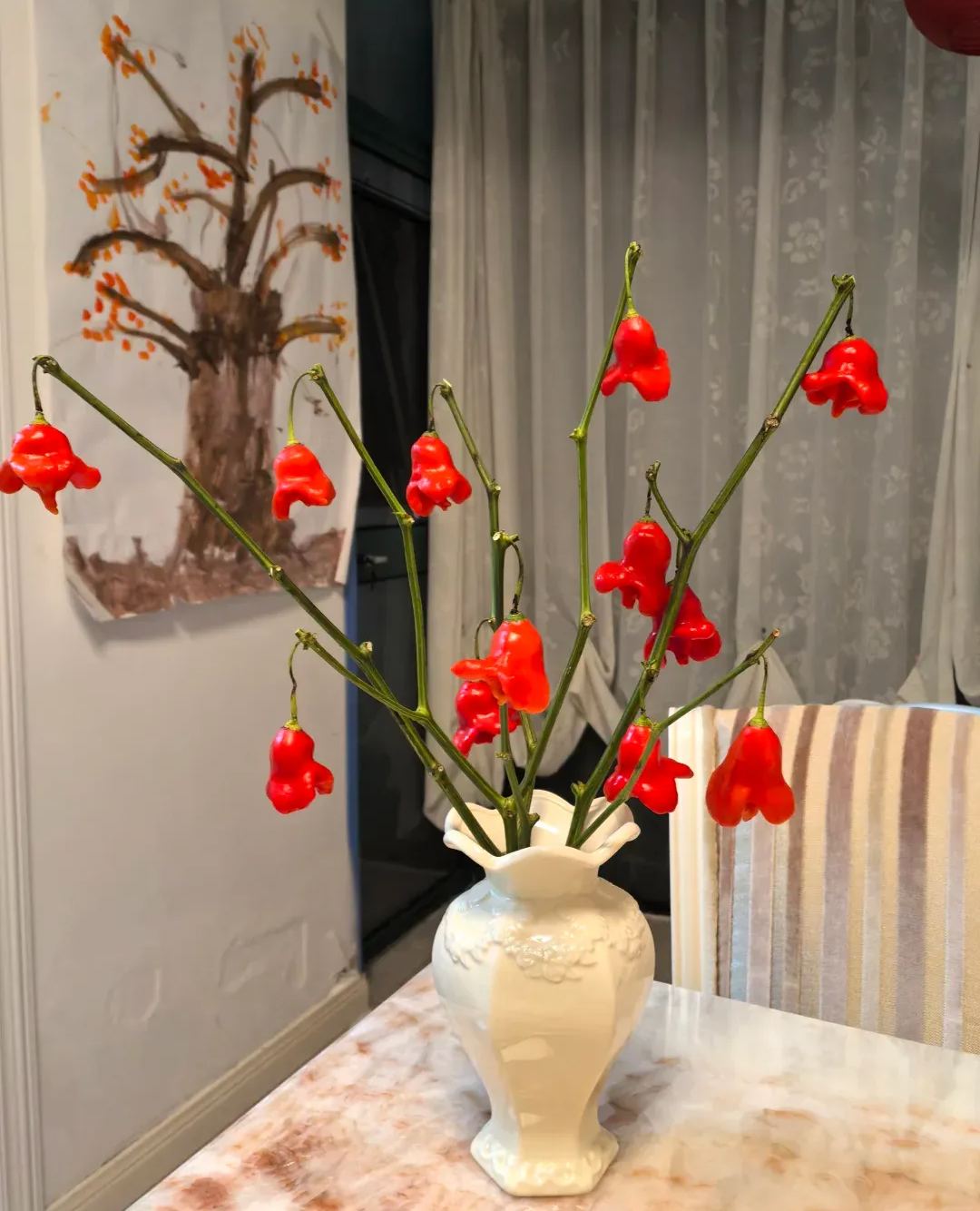 🎄Christmas Bell Peppers Seeds🌶️