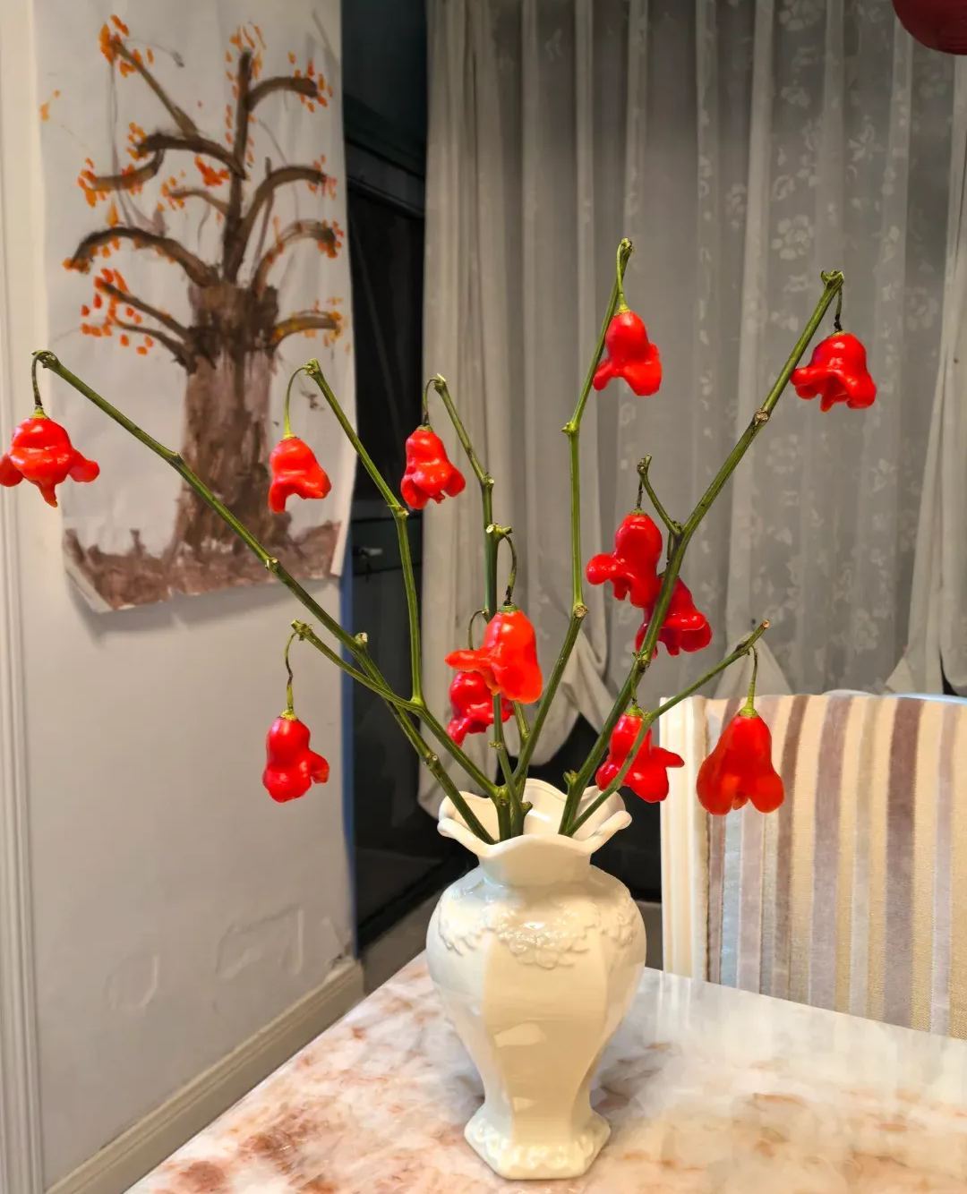 🎄Christmas Bell Peppers Seeds🌶️