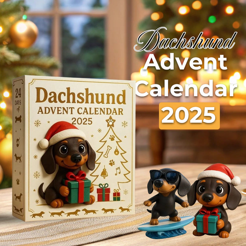 🐾Dackel-Adventskalender 2025