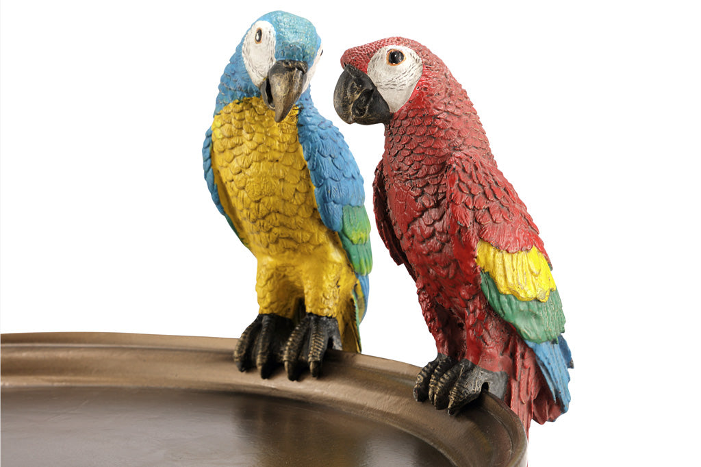 Parrots of La Palma Bird Bath Feeder with Table Stand