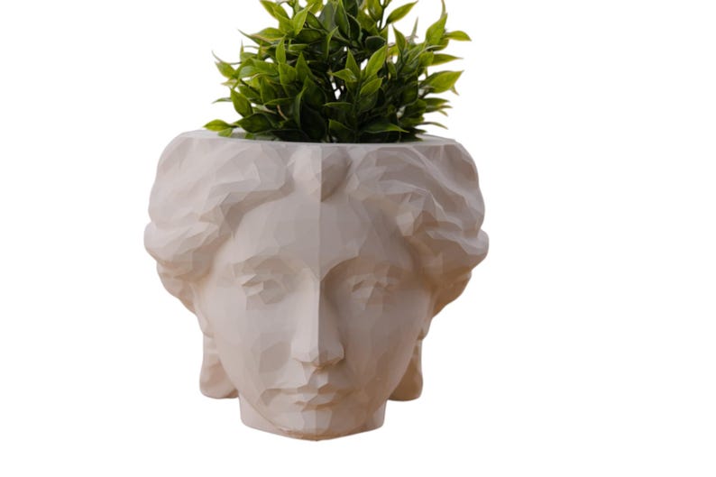 Roman Goddess Head Planter Female Bust Shaped Plant Pot Home Decor