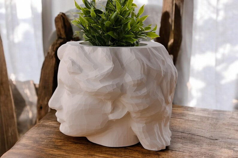 Roman Goddess Head Planter Female Bust Shaped Plant Pot Home Decor