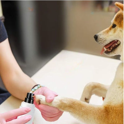 23.jpg__PID:bb8060ff-d00a-4e78-b5b6-4a90b610fdcd