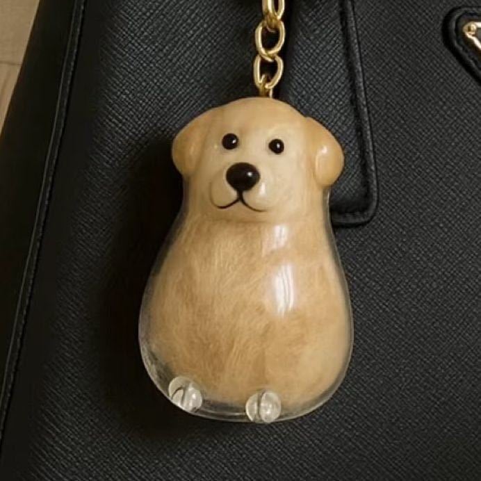 Pet Hair Memorial Capsule Keychain