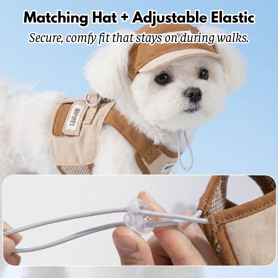 Dog Walking Set: Vest Harness, Leash & Hat