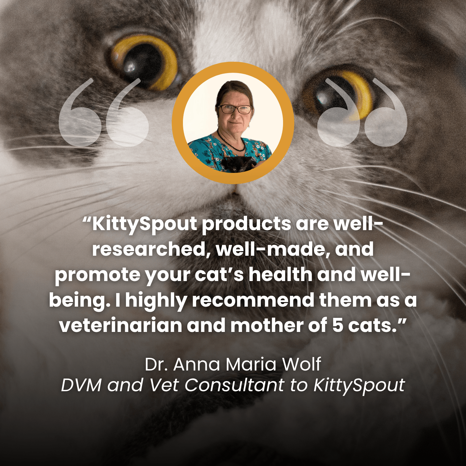  Health & Happiness Cat Kit