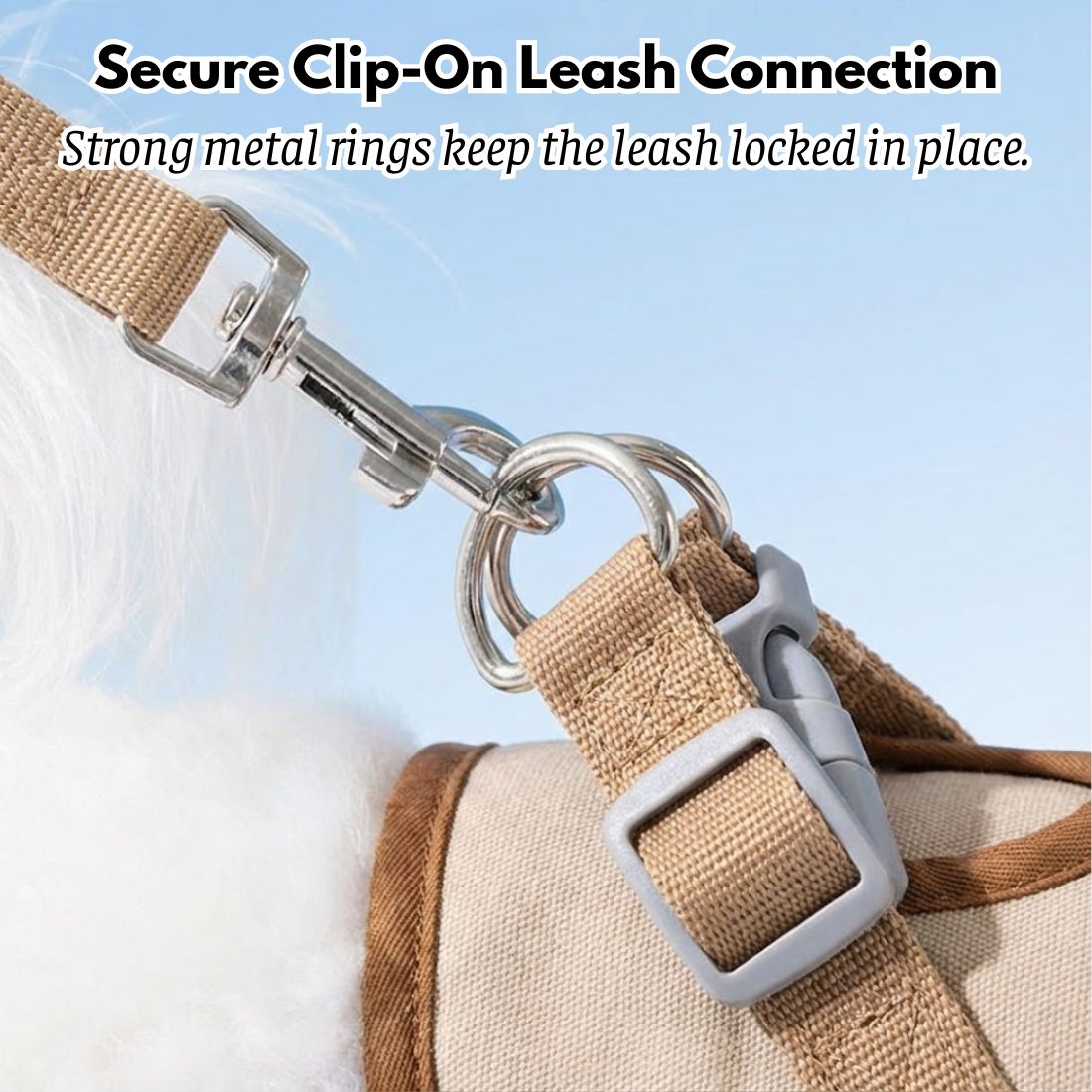 Dog Walking Set: Vest Harness, Leash & Hat