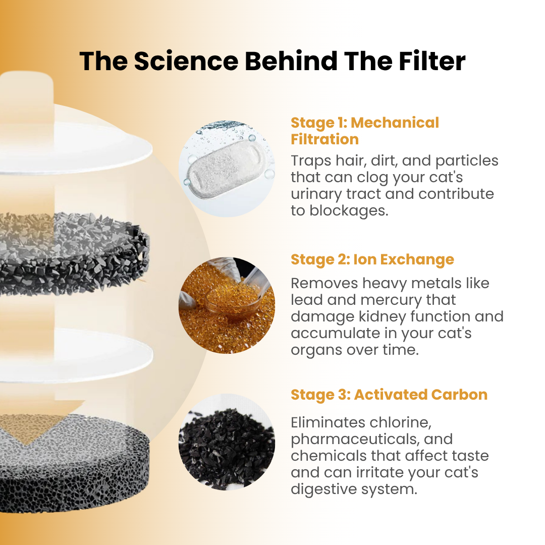  Health & Happiness Cat Kit