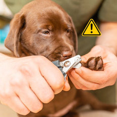 13.jpg__PID:d776bc82-b06c-472a-a9dc-64ccd6f41221