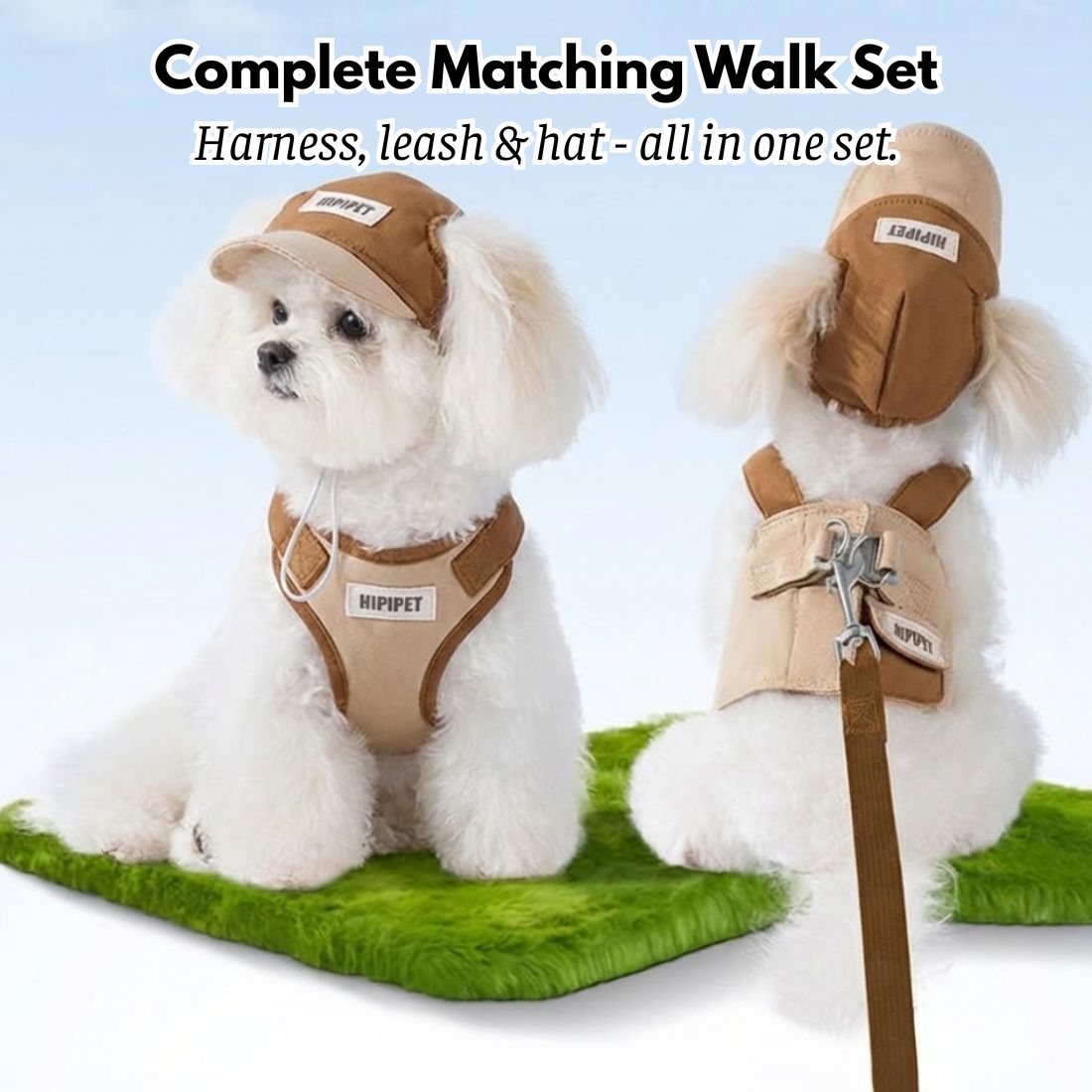 Dog Walking Set: Vest Harness, Leash & Hat
