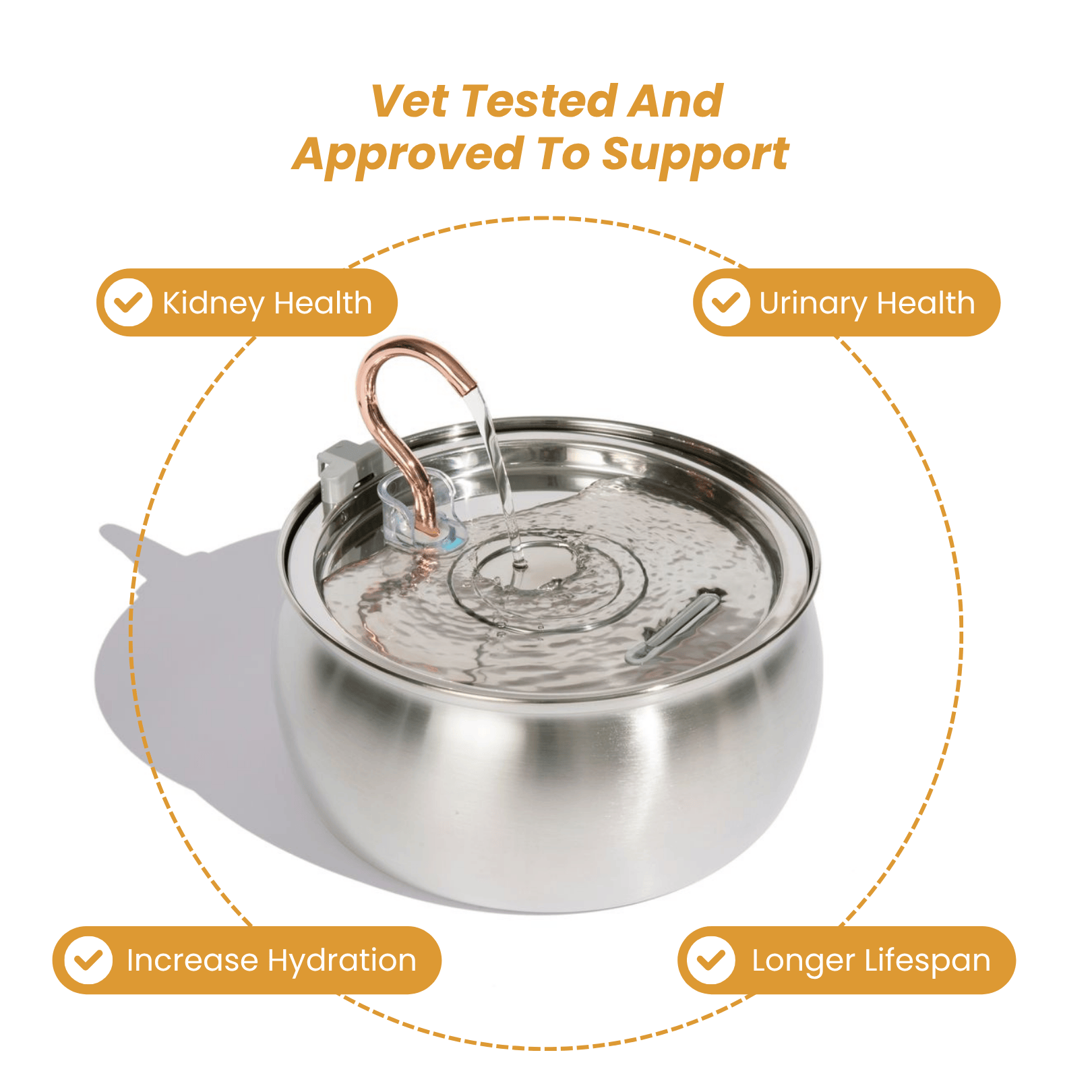  Health & Happiness Cat Kit