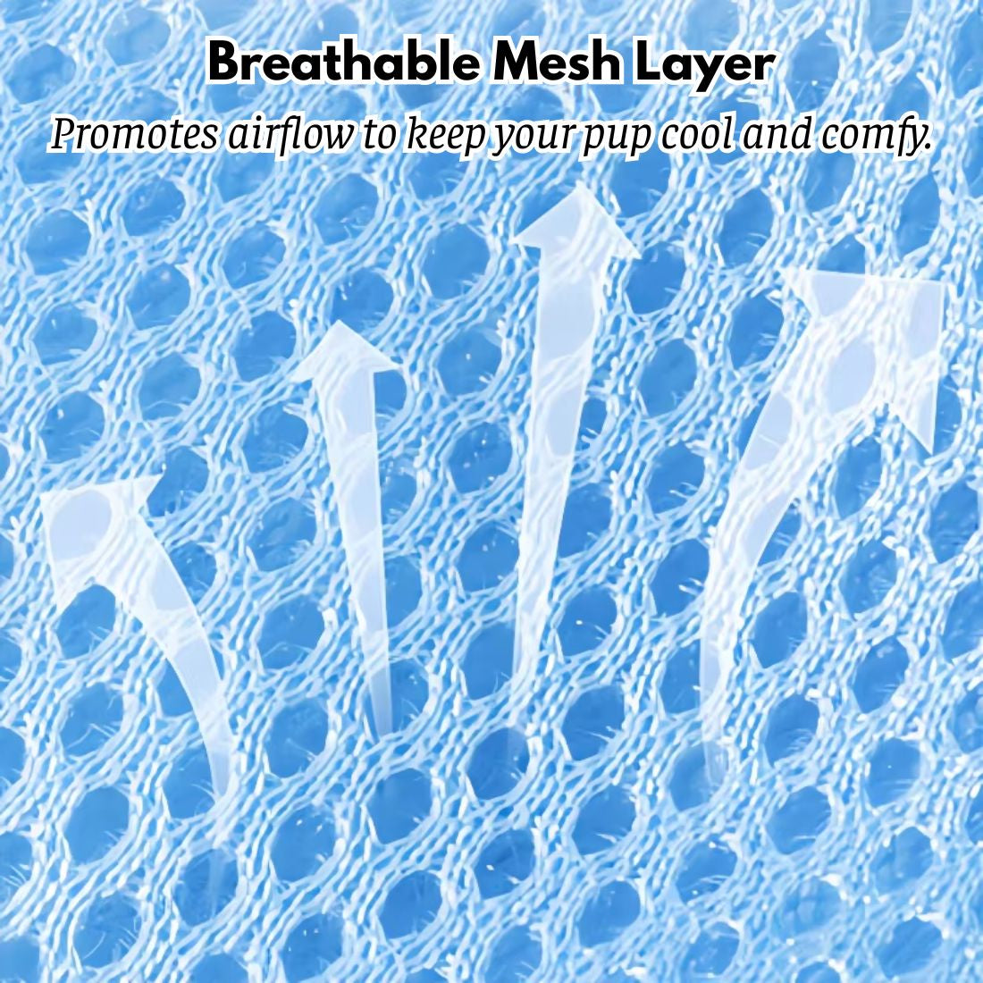 Dog Walking Set: Vest Harness, Leash & Hat