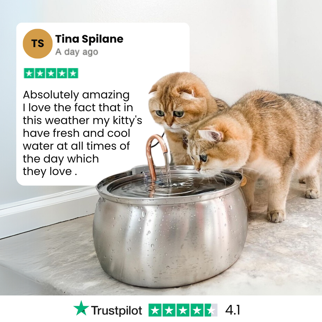  Health & Happiness Cat Kit