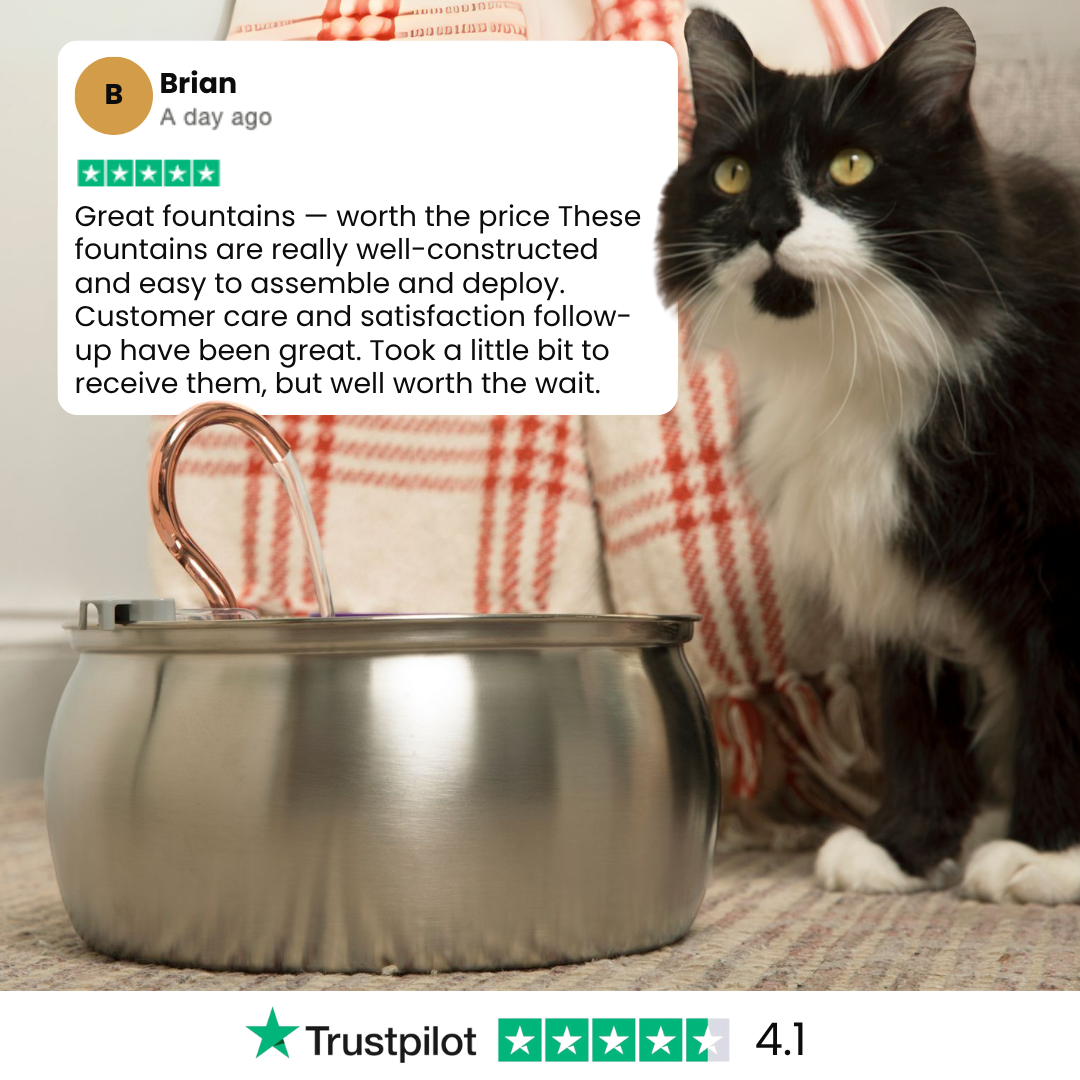  Health & Happiness Cat Kit