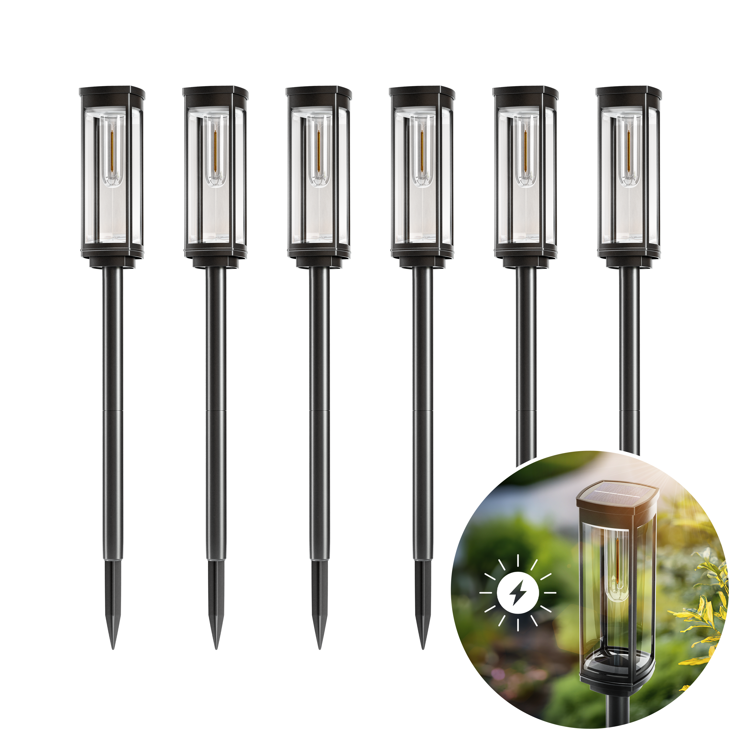 Solar Pathway Lights