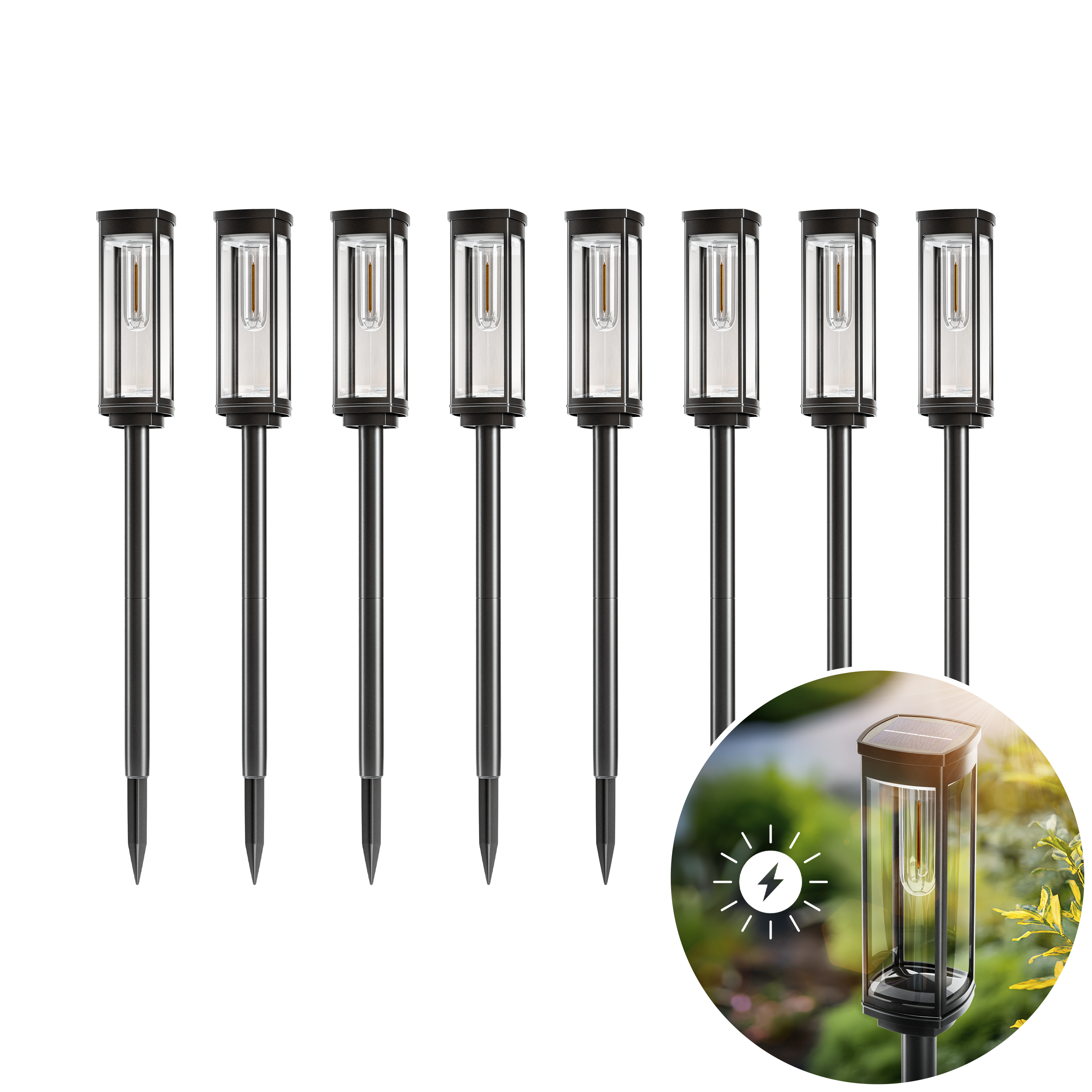 Solar Pathway Lights