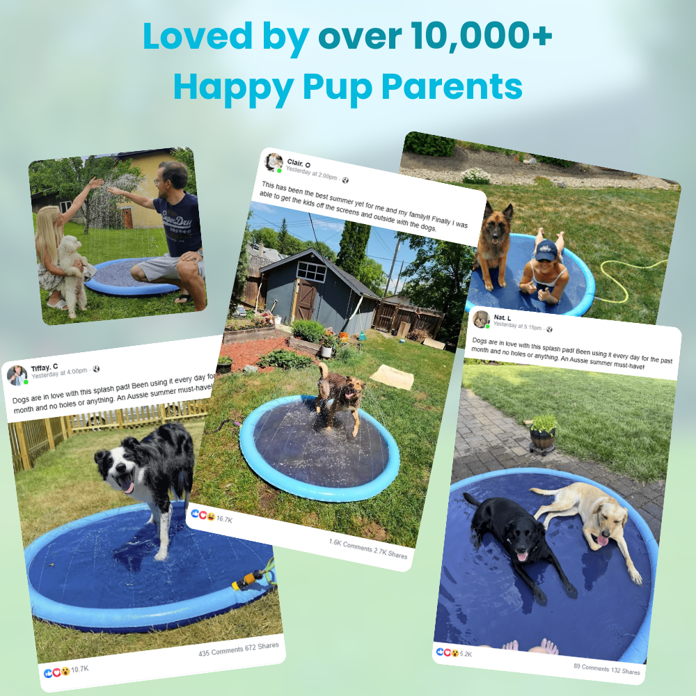Outdoor Water-Filled Toy: Waterproof Pet Sprinkler Mat