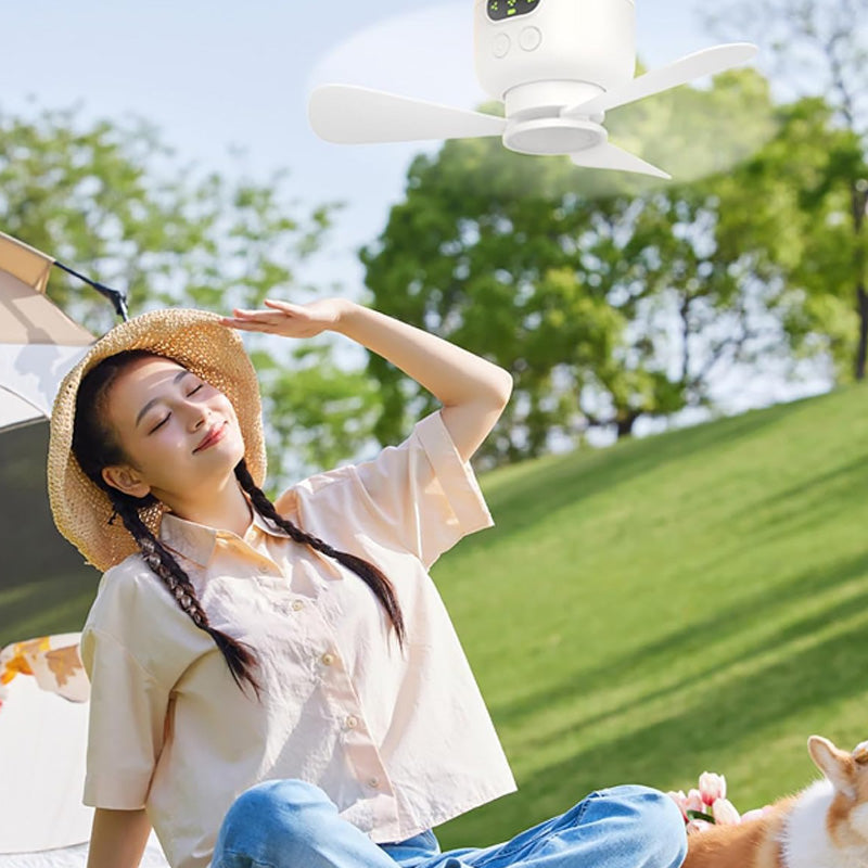 Rechargeable Ceiling Fan with LED Lights
