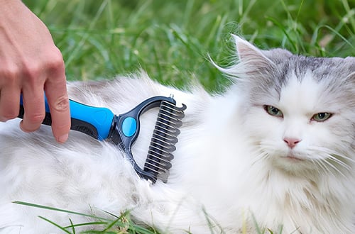 Pet Pro Grooming Tool