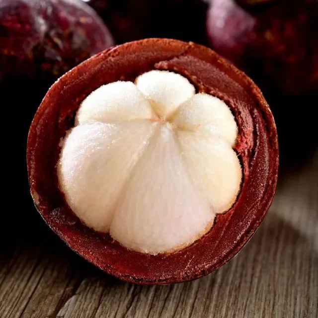 ✨Mangostan – Vysoký výnos, sladké a šťavnaté mäso! ✨