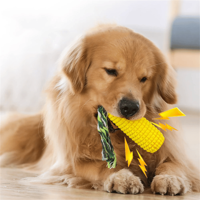 Durable TPR Corn Dog Chew Toy🌽