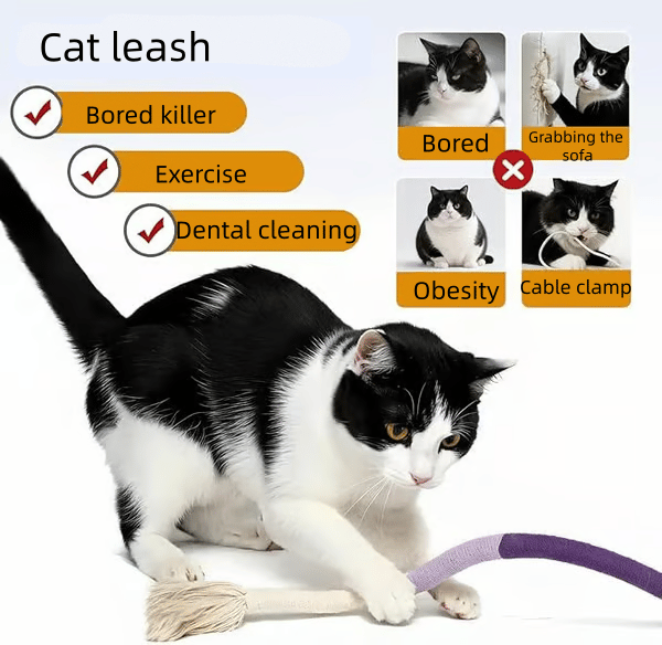 🔥HOT SALE 49% OFF😻3 pack Catnip chew rope toy – Natural, safe dental cleaner for indoor kittens