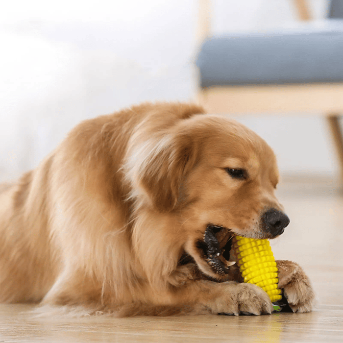 Durable TPR Corn Dog Chew Toy🌽