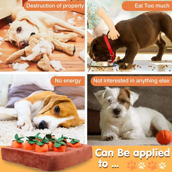 🐶Carrot Farm Dog Toy