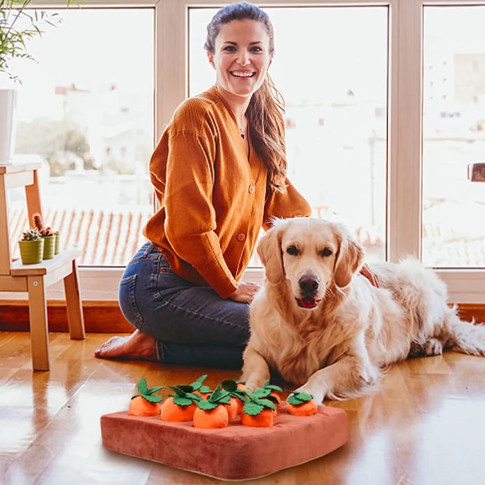 🐶Carrot Farm Dog Toy
