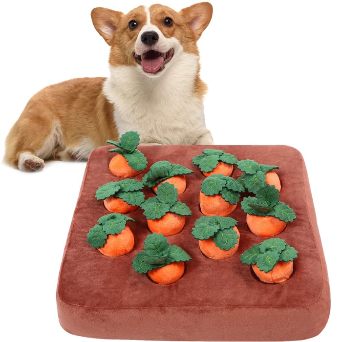🐶Carrot Farm Dog Toy