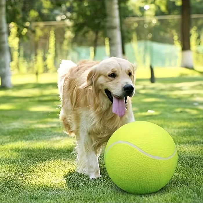 Dog Tennis Ball - Durable outdoor toys