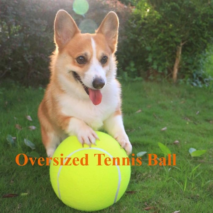 Dog Tennis Ball - Durable outdoor toys