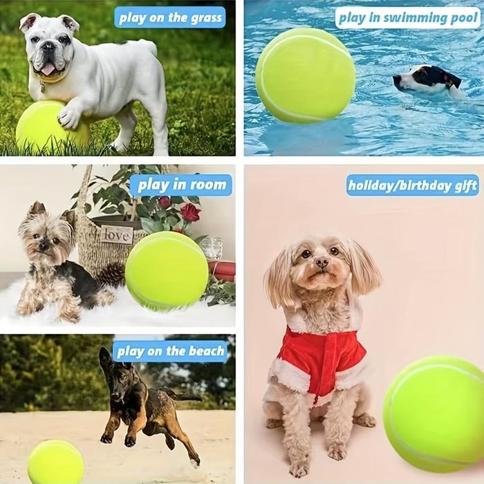 Dog Tennis Ball - Durable outdoor toys