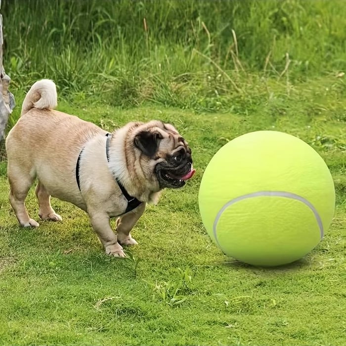 Dog Tennis Ball - Durable outdoor toys